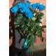 Сині троянди "П'ятий елемент" Сині троянди "П'ятий елемент"
