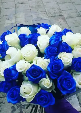 Лагуна 51 троянда
