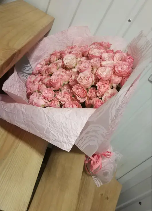 Кущова троянда Днепр Кущова троянда Днепр