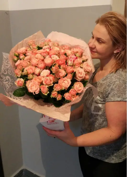 Кущова троянда Днепр Кущова троянда Днепр