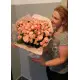 Кущова троянда Днепр Кущова троянда Днепр