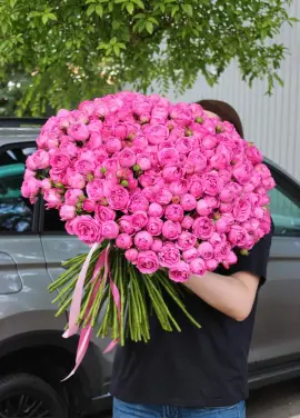 75 гілки піонативних бульбашок Raspberry Rose