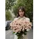 Кремовий кущ троянда Summer rose Dnipro