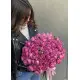Кущова піоноподібна троянда  "Bubbles"