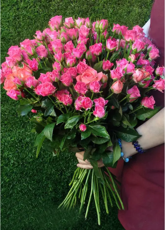 Кущова троянда Днепр Кущова троянда Днепр