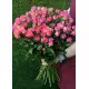 Кущова троянда Днепр Кущова троянда Днепр