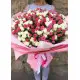 Кущова троянда Днепр Кущова троянда Днепр