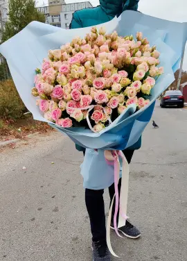 Кущова троянда Днепр