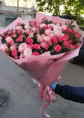 Кущова мікс троянда Днепр