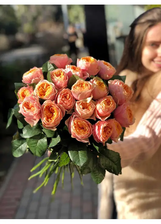 Півоновідна троянда Вувузела