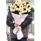 Бісквіт Бісквіт
