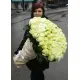 101 бiла троянда