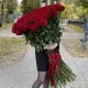 Голандські троянди  150 см