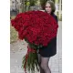 Голандські троянди  150 см