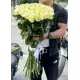 51 білий метрова троянди
