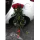 Голандські троянди Голандські троянди