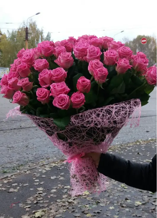 Рожеві троянди Рожеві троянди