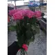 Рожеві троянди Рожеві троянди