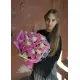 Біло-рожевий Зефір 