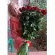 Голандські троянди