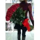 Голандські троянди