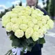 Біли троянди Аваланч