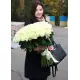 Біли троянди Аваланч