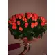 Абрикосовий 