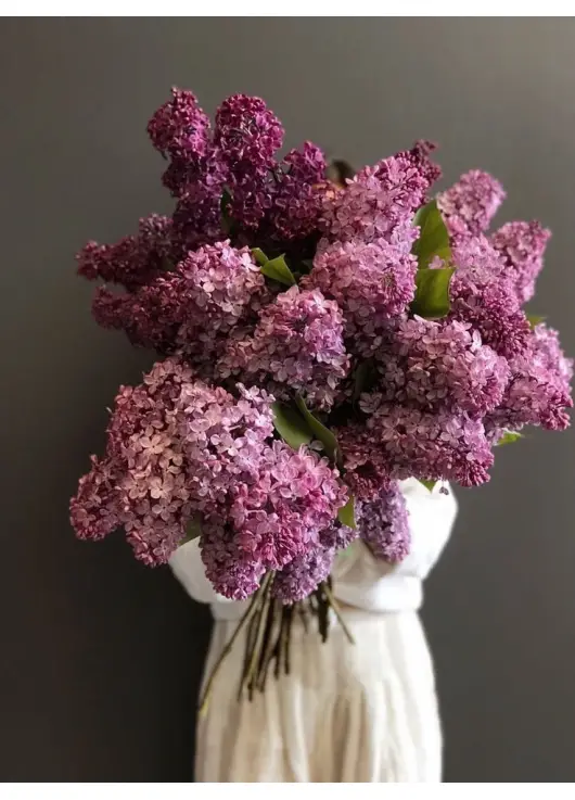Величезний букет бузку