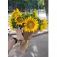 Букет з сонячника Букет з сонячника