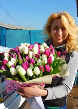 Букет із 51 ніжних тюльпанів (імпорт, Нідерланди)