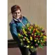 Веселкова весна 101 тюльпан Веселкова весна 101 тюльпан