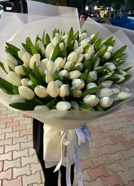Cніжна короліва 101 тюльпан