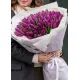 Букет із 101 фіолетових тюльпанів (імпорт, Нідерланди)