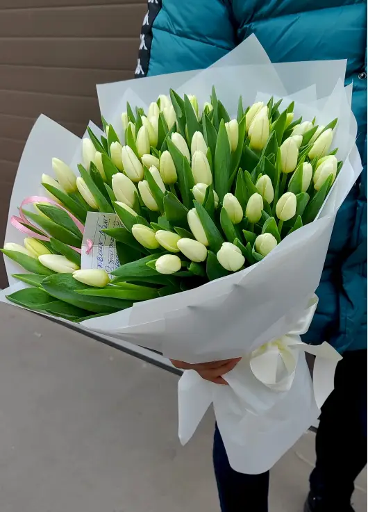 Букет із 101 білих тюльпанів (імпорт, Нідерланди)