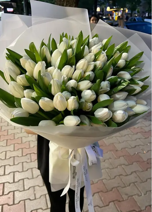 Букет із 101 білих тюльпанів (імпорт, Нідерланди)