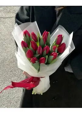Букет з 15 червоних тюльпанів (імпорт, Голландія)