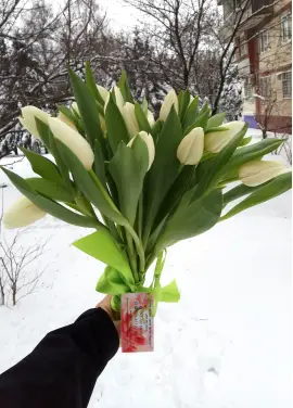 Букет із 15 білих тюльпанів (імпорт, Нідерланди)