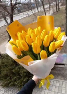 Букет із 21 жовтих тюльпанів (імпорт, Нідерланди)