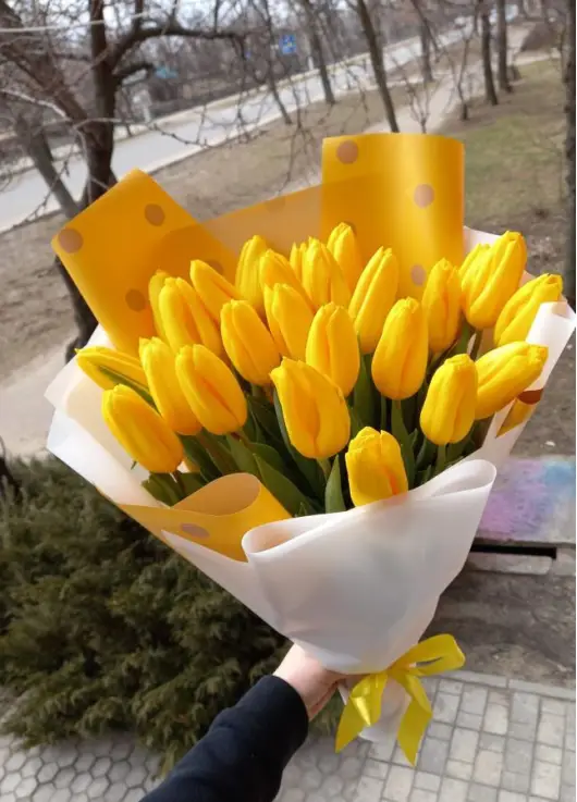 Букет із 21 жовтих тюльпанів (імпорт, Нідерланди)