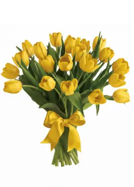 Букет із 25 жовтих тюльпанів (імпорт, Нідерланди)