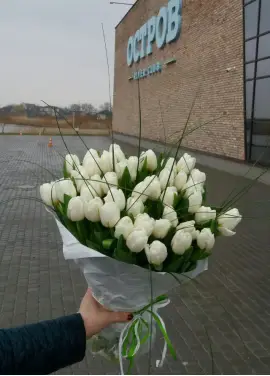 Букет  iз  51 білих тюльпанів