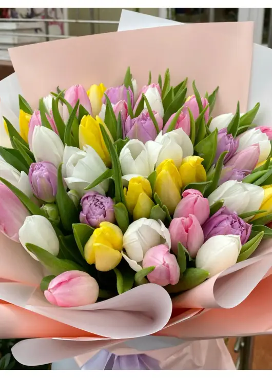 Букет із 51 тюльпанів мікс (імпорт, Нідерланди)