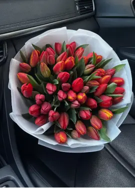 Букет із 51 червоних тюльпанів (імпорт, Нідерланди)