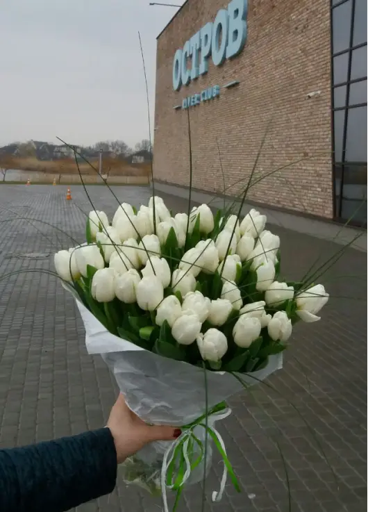 Букет із 51 білих тюльпанів (імпорт, Нідерланди)