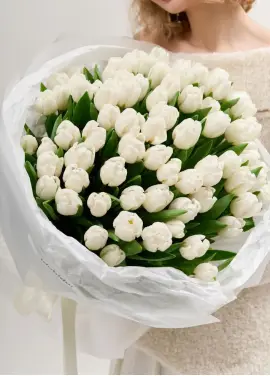 Букет із 75 білих тюльпанів (імпорт, Нідерланди)