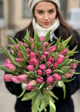 51 фіолетовий тюльпан