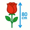 Букети троянд  80 см