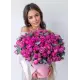 Кущова піоноподібна троянда  у коробці
