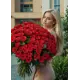 101 червона троянда